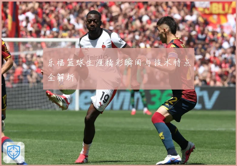 乐福篮球生涯精彩瞬间与技术特点全解析