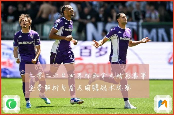 二零二六年世界杯加拿大精彩赛事全景解析与看点前瞻战术观察